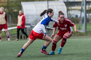 Bild 328 - F Hamburger SV 2 - SpVg Aurich : Ergebnis: 1:1